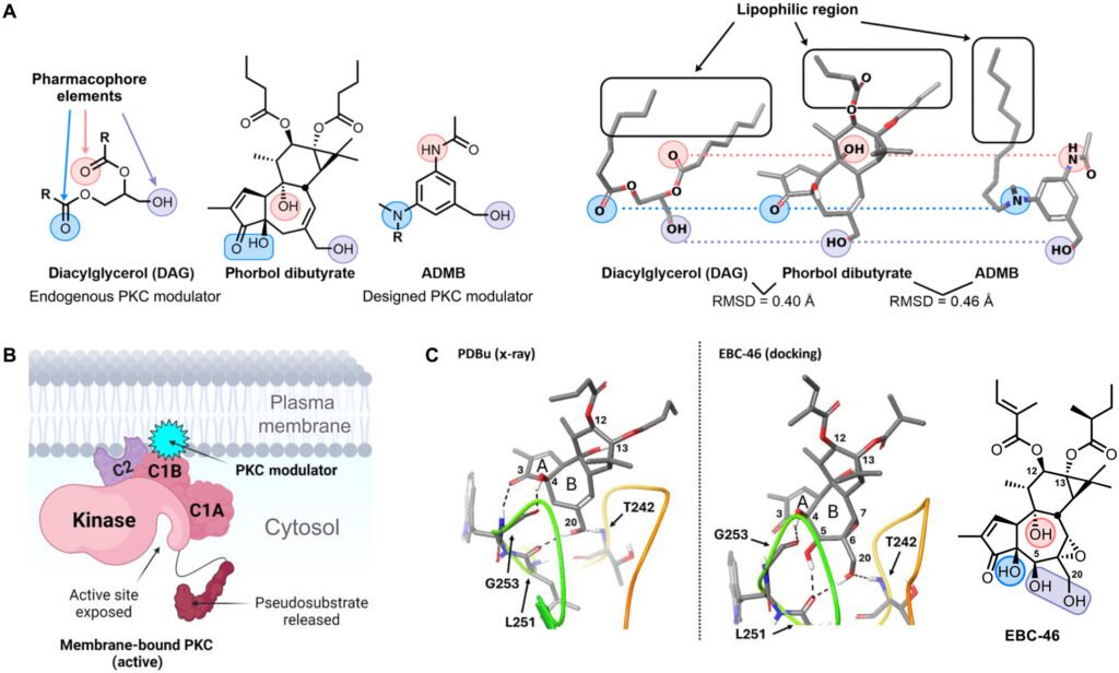 Cancer-fighting compound shows immense potential to eradicate HIV