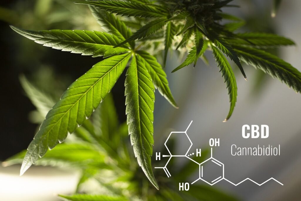 Cannabinoids offer new hope for safe and effective pain relief
