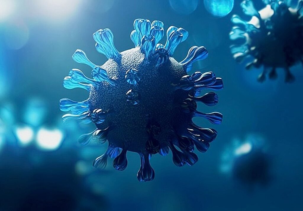 First US death from bird flu reported in Louisiana