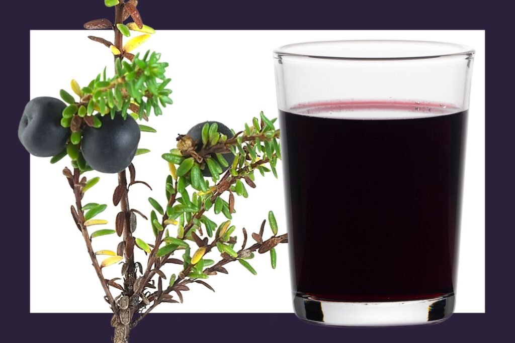 Nordic Crowberries Are Poised to Be the Next Superfood