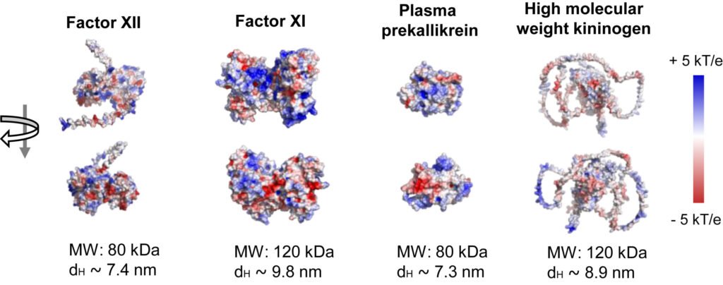 Sepsis molecule discovery could lead to improved treatments for critically ill patients