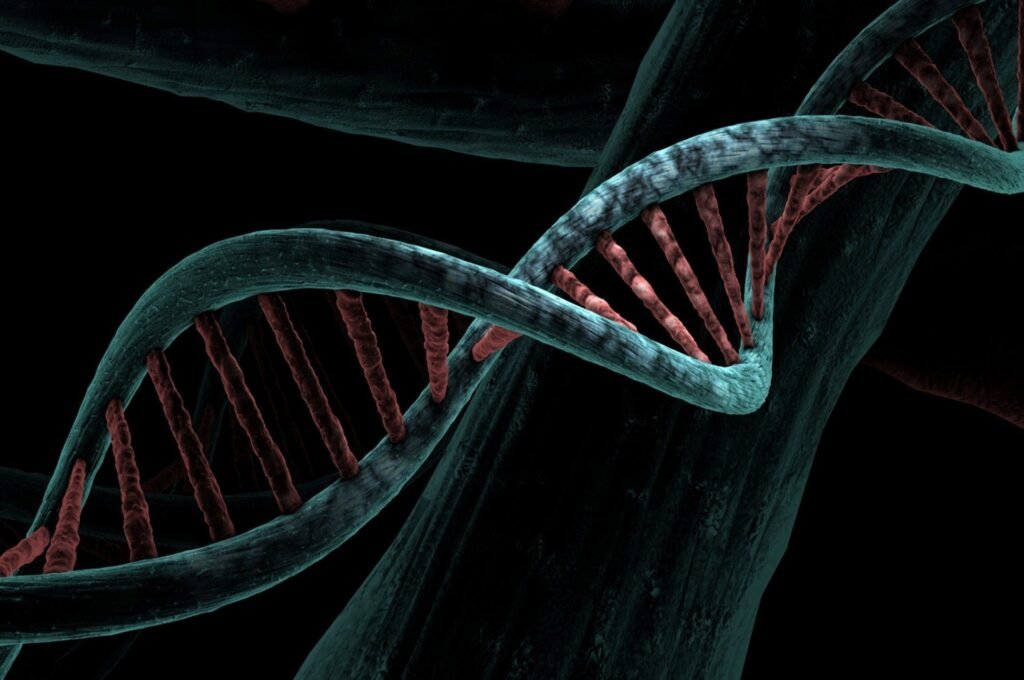 Artificial human DNA study raises ethical questions for society