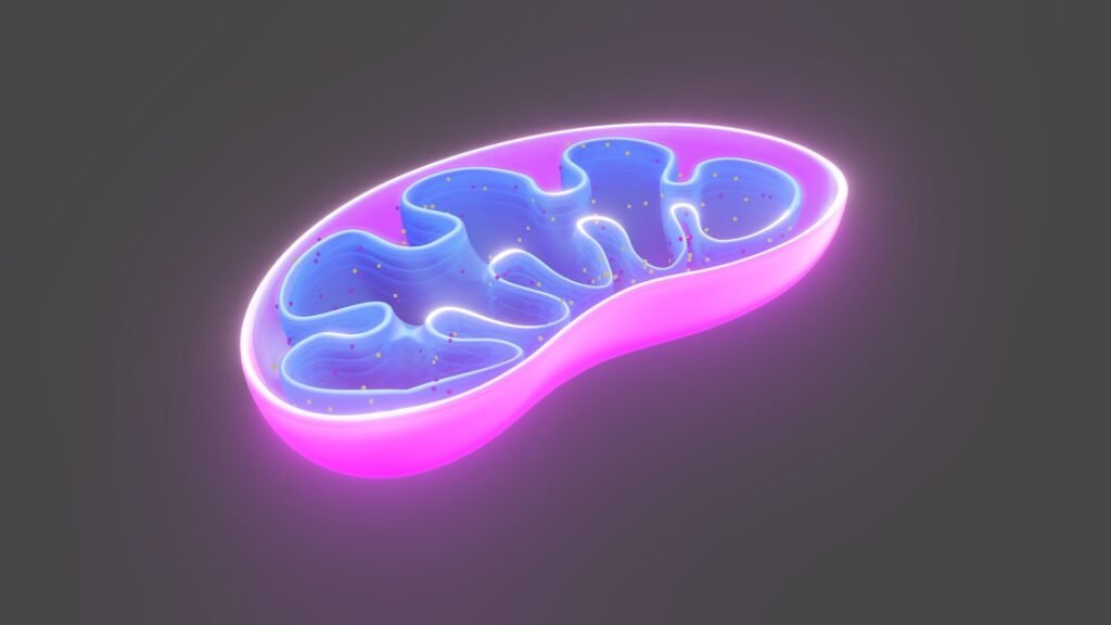 Could reversing damage offer a cure?
