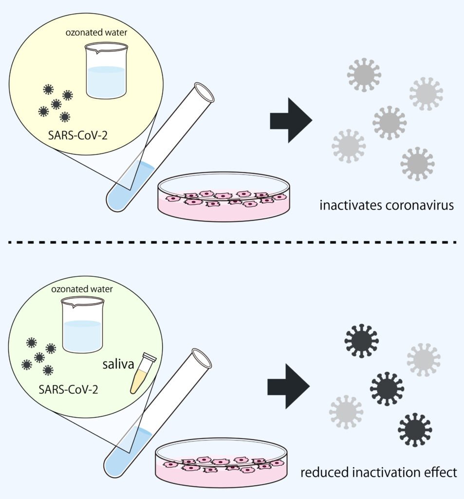 Observing ozonated water’s effectiveness against SARS-CoV-2 in saliva