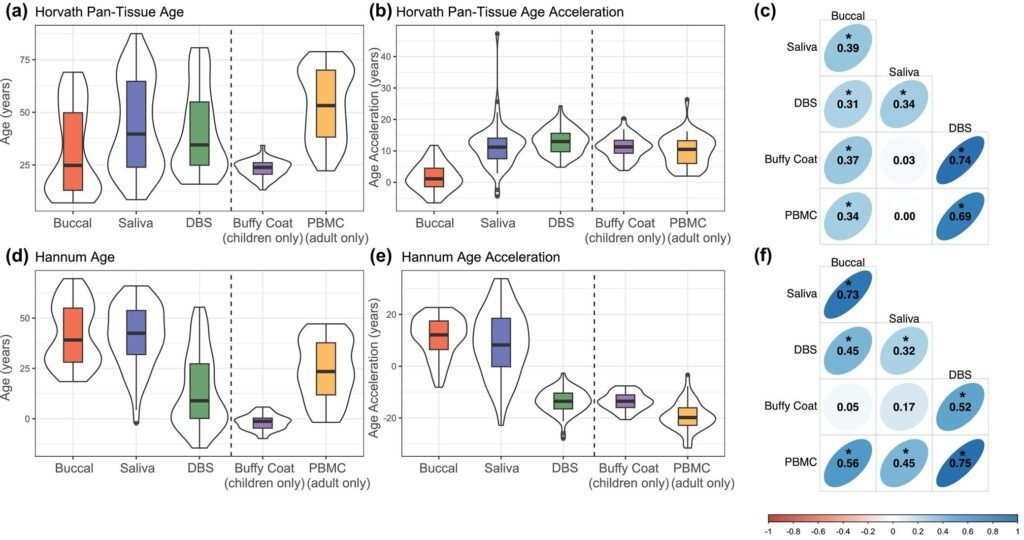 Tissue sample type matters when measuring a person’s biological age, researchers report