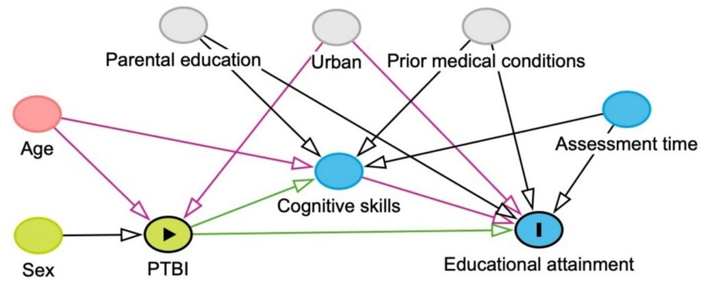 Childhood brain injuries can affect educational attainment in adulthood—study shows concussion can be enough