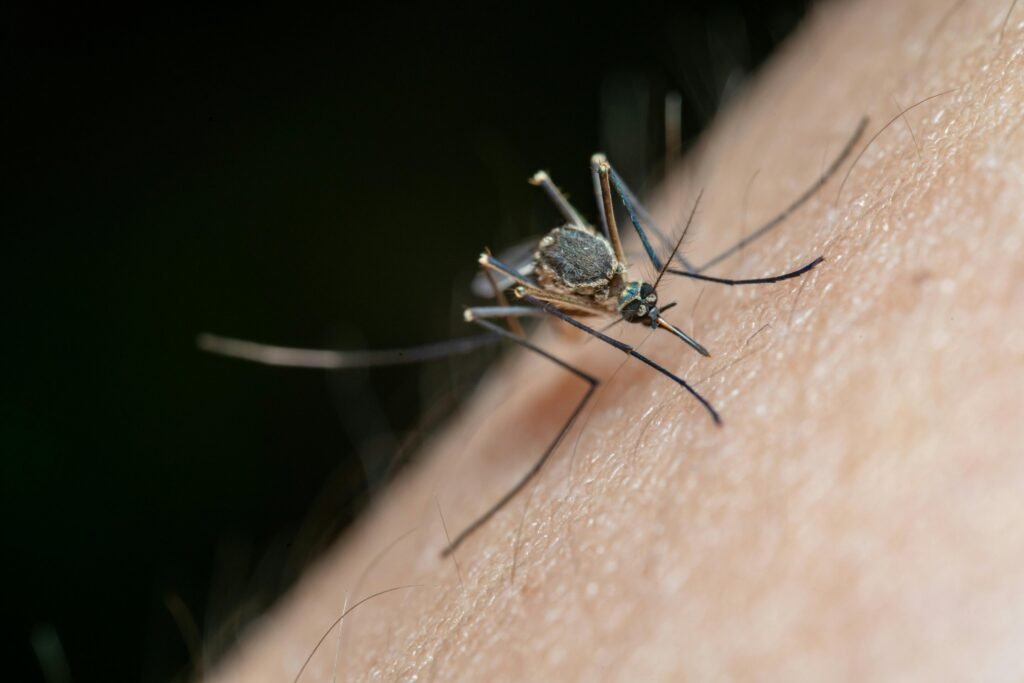 First wind, then rain. Next come the mozzies. Here’s how to reduce your risk of bites and infections