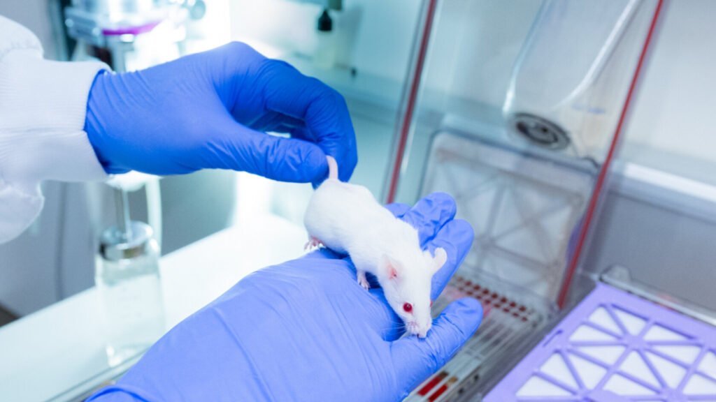 ‘Flycode’ system allows simultaneous analysis of 25 antibodies in mice to reduce animal testing