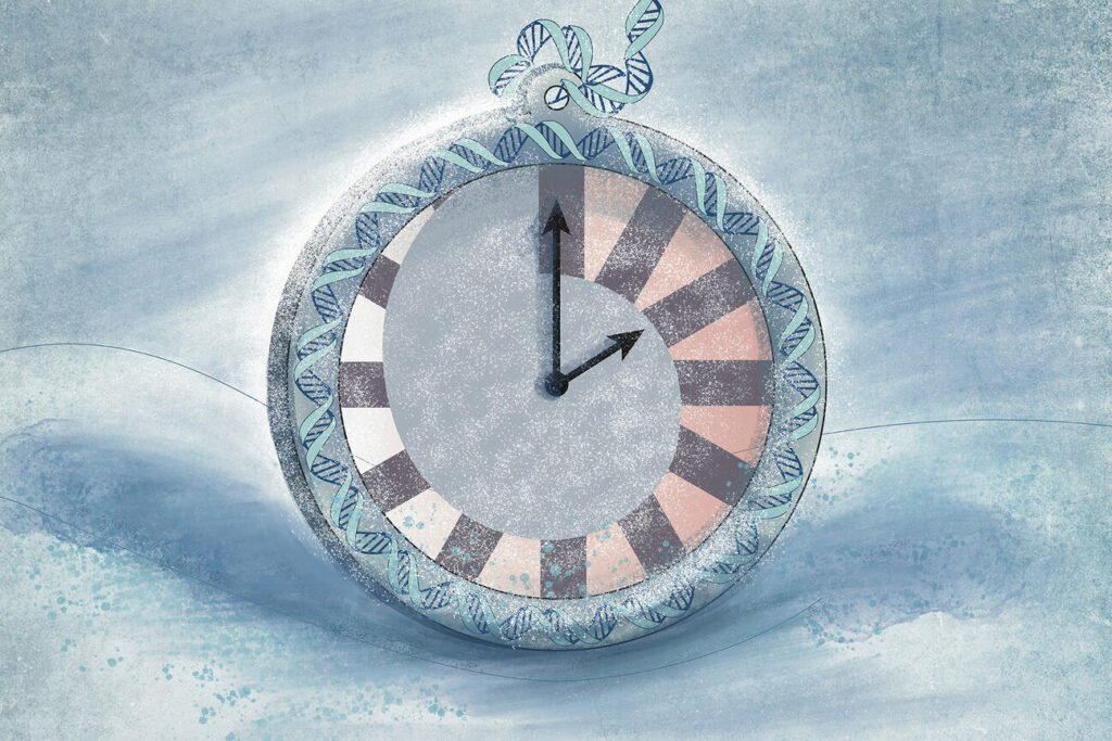 Inducing prolonged torpor-like state in mice slows epigenetic changes that accompany aging