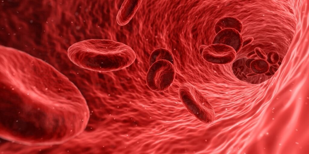 Spreading and clotting of platelets shown to be regulated by separate pathways