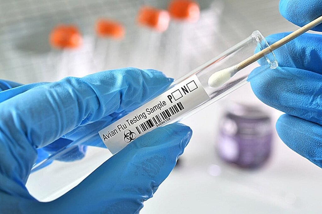 California gives  gift cards to boost bird flu testing