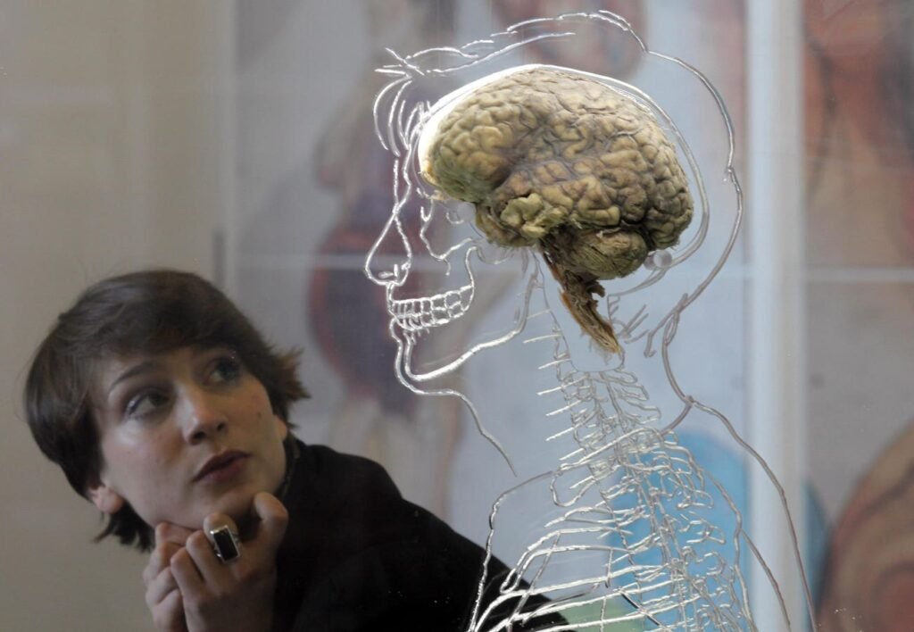 Decoding Your Brain For Work-Life Integration