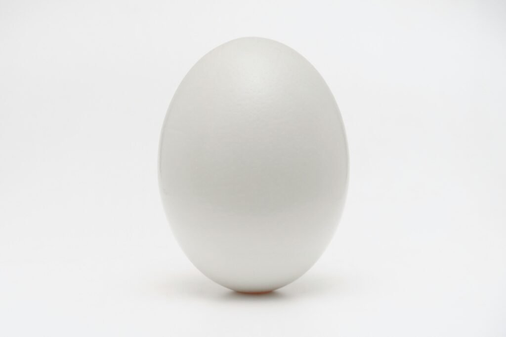 Egg white hydrolysates show promise as natural antihypertensive agents