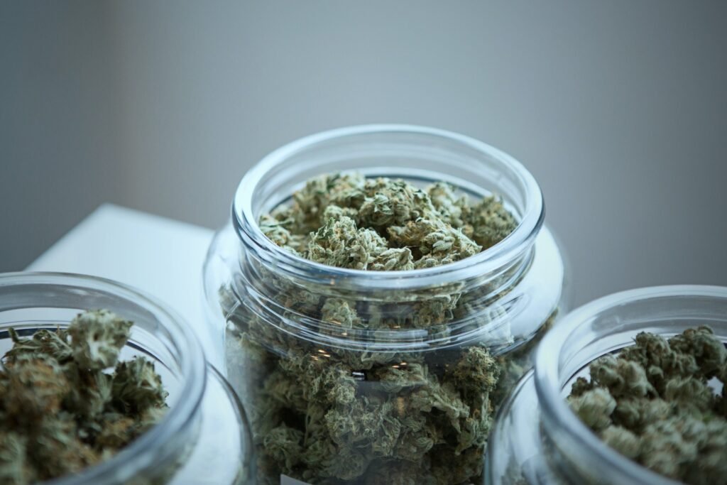 Medical cannabis could speed recovery, especially at community recovery homes, pilot study indicates