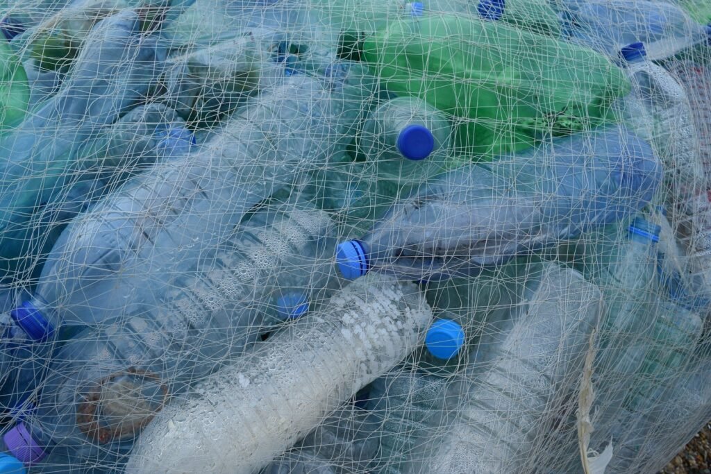 Starch-based microplastics linked to health issues in mouse study