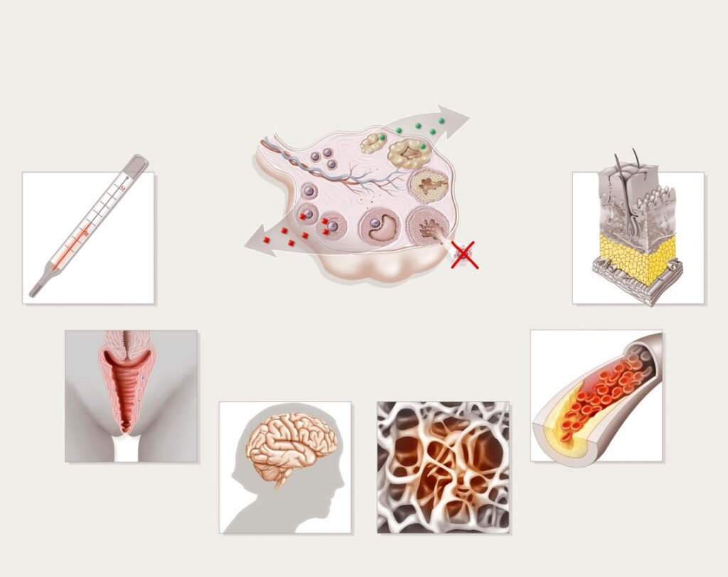 The Menopause Myth We Need To Break, Here’s Why
