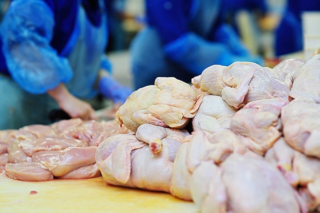 USDA drops plan to limit salmonella in poultry products