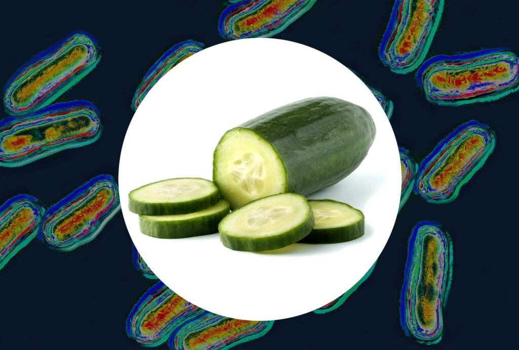 FDA Recalls Cucumbers Linked to Salmonella Outbreak in 15 States