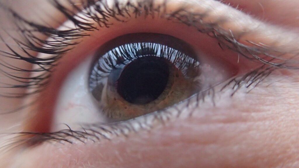Vitamin supplements may slow down the progression of glaucoma