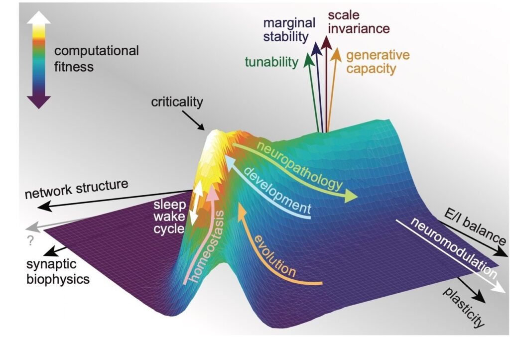 A unified theory of the mind could be key to understanding brain function and neurological disease