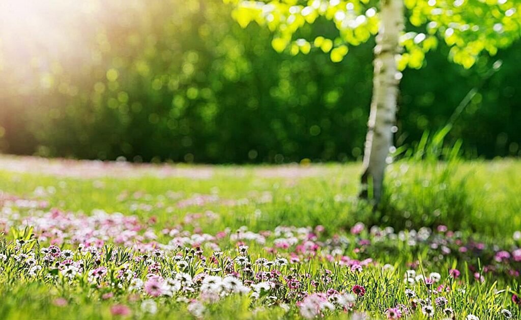 An ER doctor’s guide to staying safe in summer heat