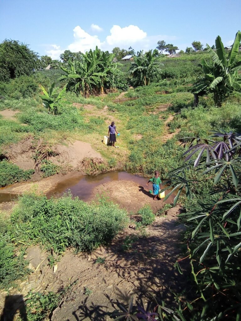 Climate change impacts sexual and reproductive health of refugee youth in Ugandan humanitarian setting