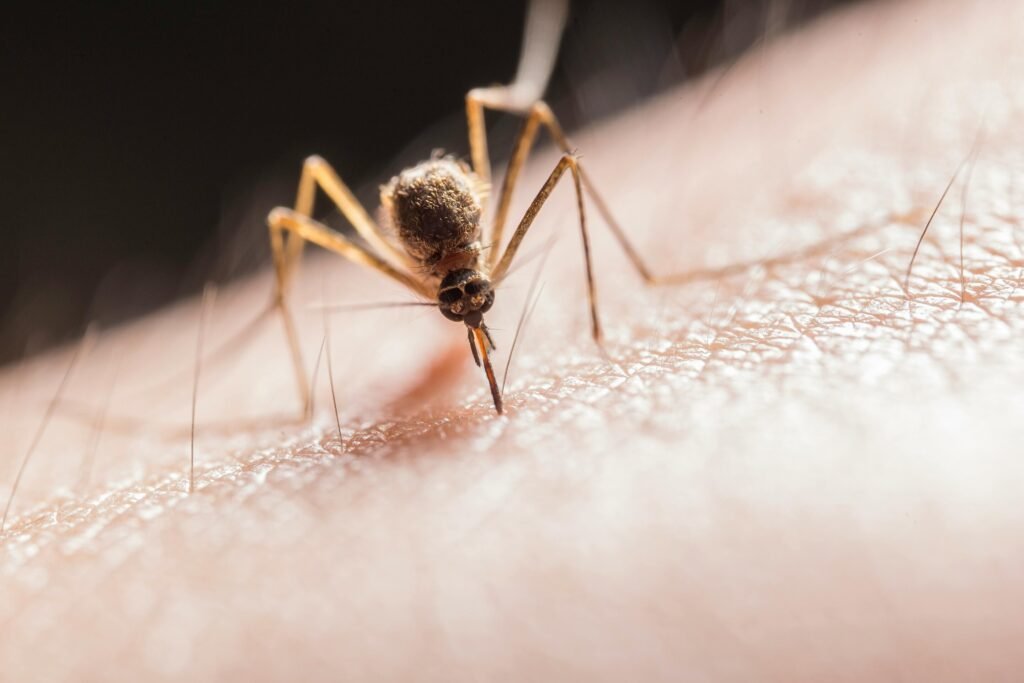 Public health officials confirm state’s first human West Nile case of the year
