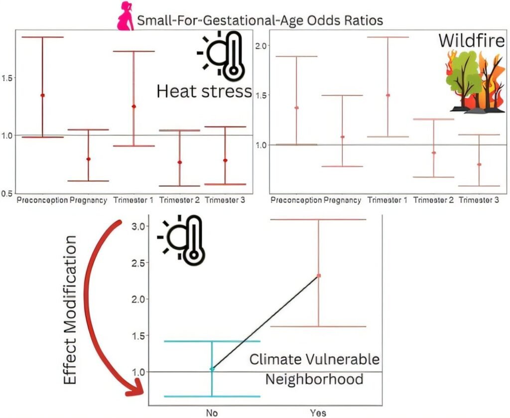 Study links wildfire smoke exposure and heat stress to adverse birth outcomes