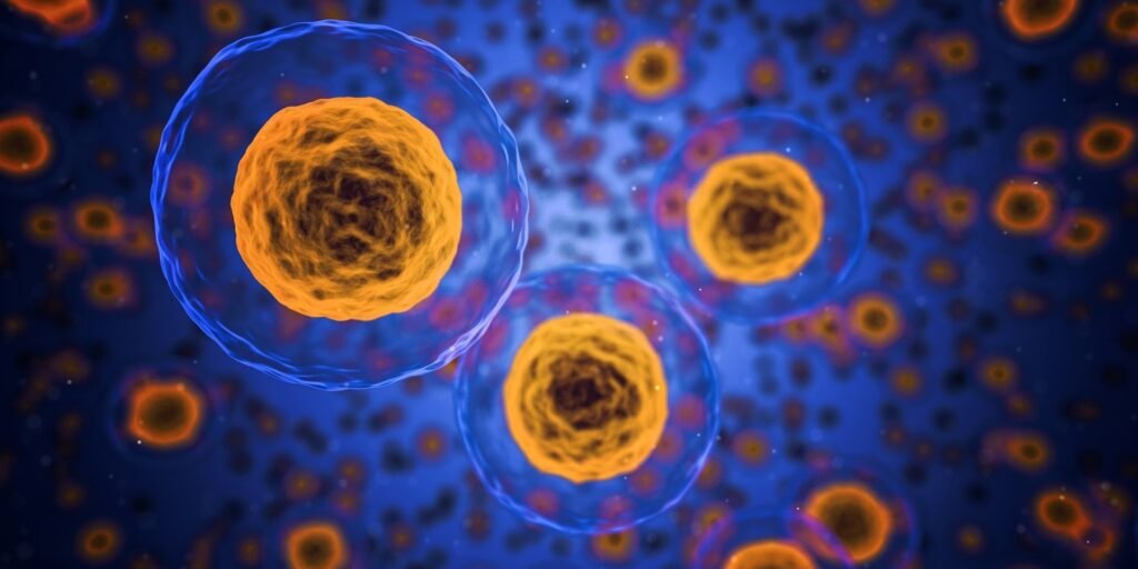 Team discovers how tiny parts of cells stay organized, adding new insights for blocking cancer growth