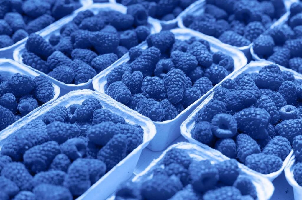 What Is Blue Raspberry?