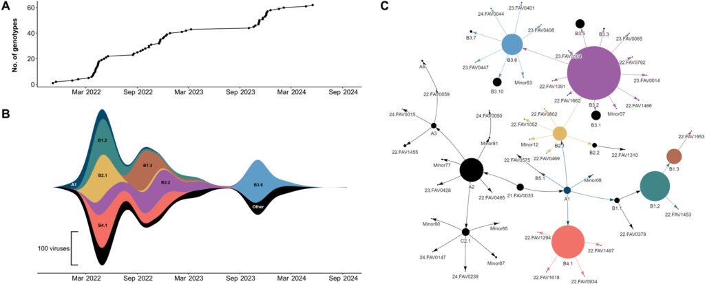 Bird flu found to evolve rapidly, infecting more hosts and finding ways to spread more effectively