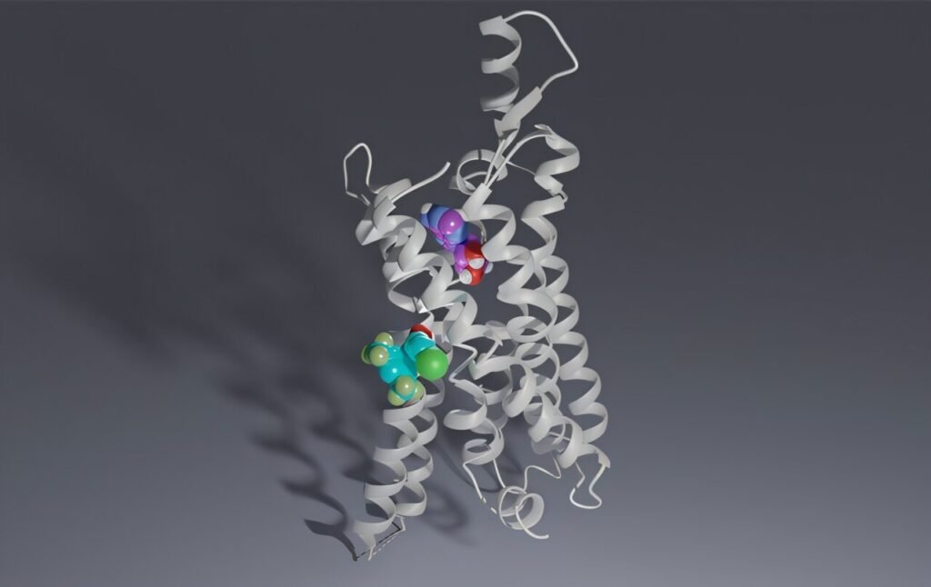 ‘Dimmer switch’ drug candidates offer hope for safer nerve pain and ischemic disease treatments