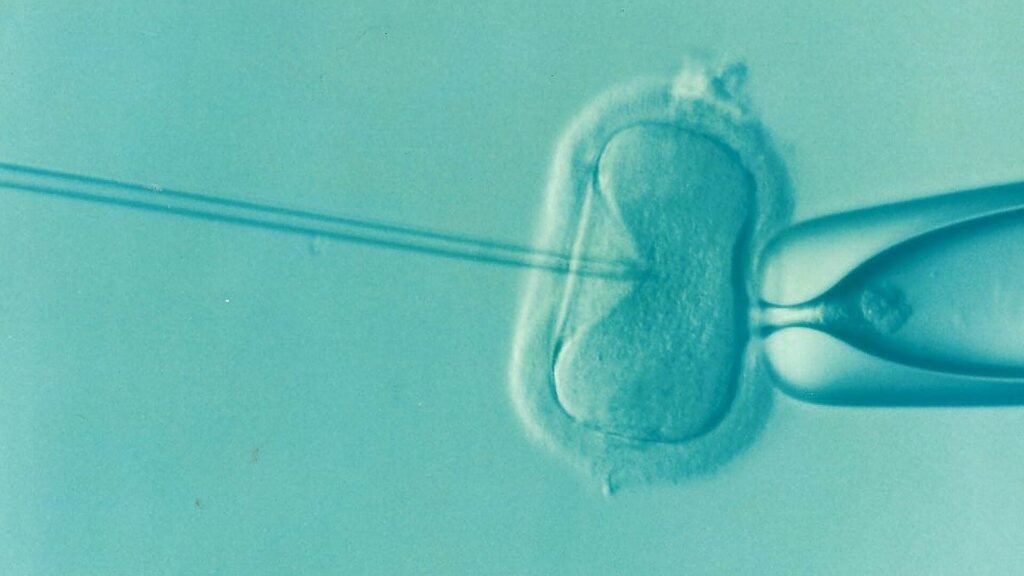 New report outlines ethical and policy considerations for lab-grown reproductive cells