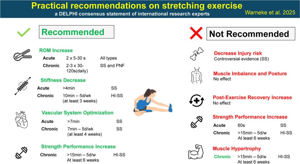 Scientifically grounded recommendations for stretching published for the first time
