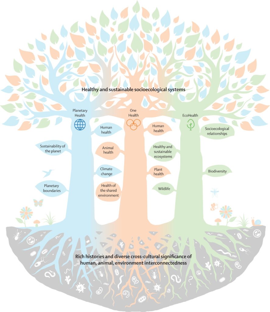 The Lancet Commission calls for global policy shift—One Health as the key to the future