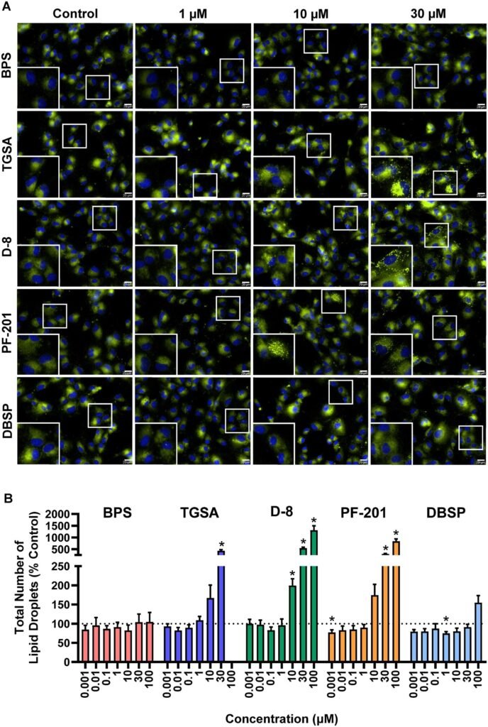 BPA replacements in food packaging may disrupt key ovarian cell functions