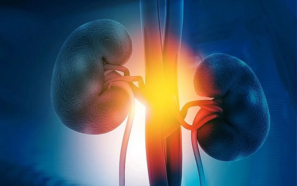 Dietary patterns linked to chronic kidney disease risk