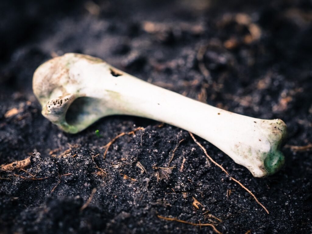 This is what happens to your body when it’s deprived of food