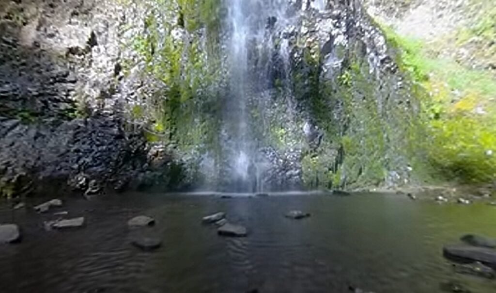Virtual reality nature scenes ease pain sensitivity, especially with strong sense of presence