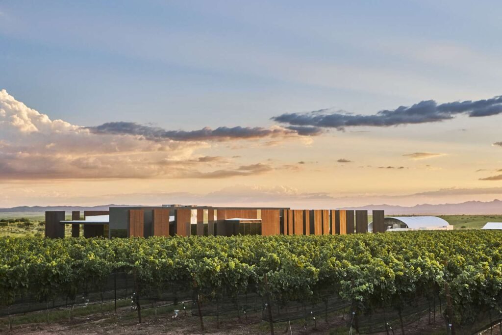 America’s Next Great Wine Region Is in Arizona