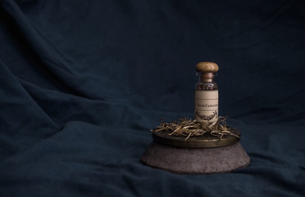 Analysis of ‘magic mushroom’ edibles finds no psilocybin but many undisclosed active ingredients