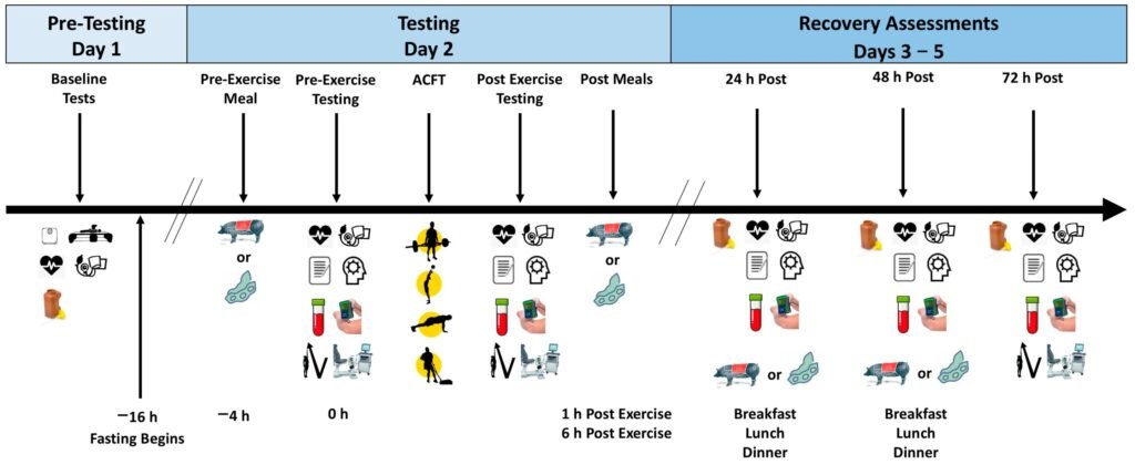 Eating animal protein following training can improve recovery, study finds