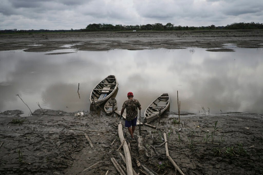 Well-preserved Amazon rainforest on Indigenous lands can protect people from diseases, study finds