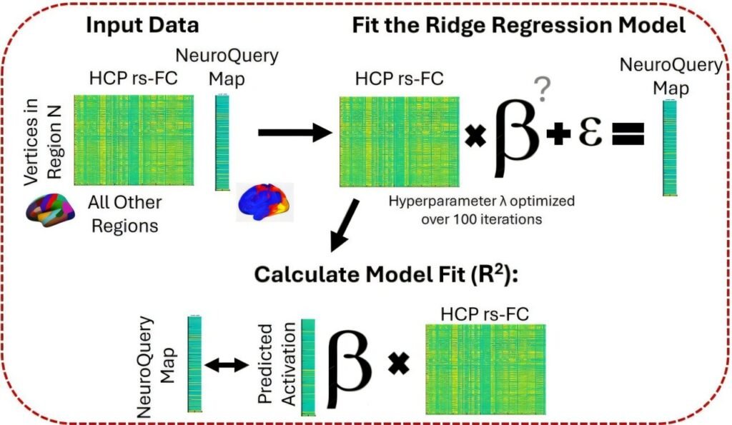 A ‘bird’s eye view’ of how human brains operate A ‘bird’s eye view’ of how human brains operate