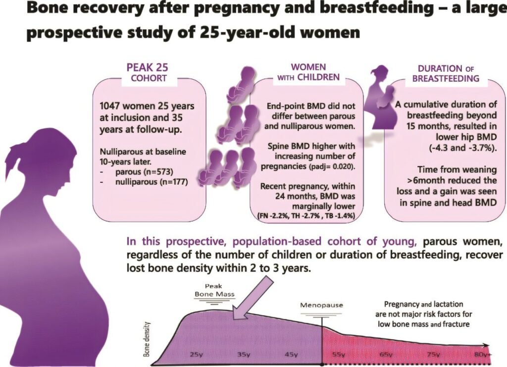 Breastfeeding’s impact on bone density could boost development of osteoporosis drugs Breastfeeding’s impact on bone density could boost development of osteoporosis drugs