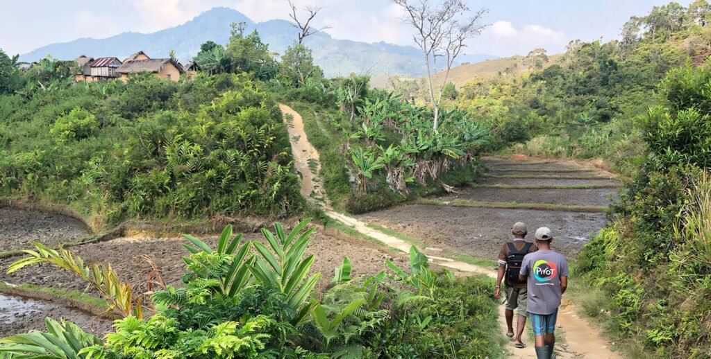 Building stronger health systems saves lives, Madagascar experiment shows