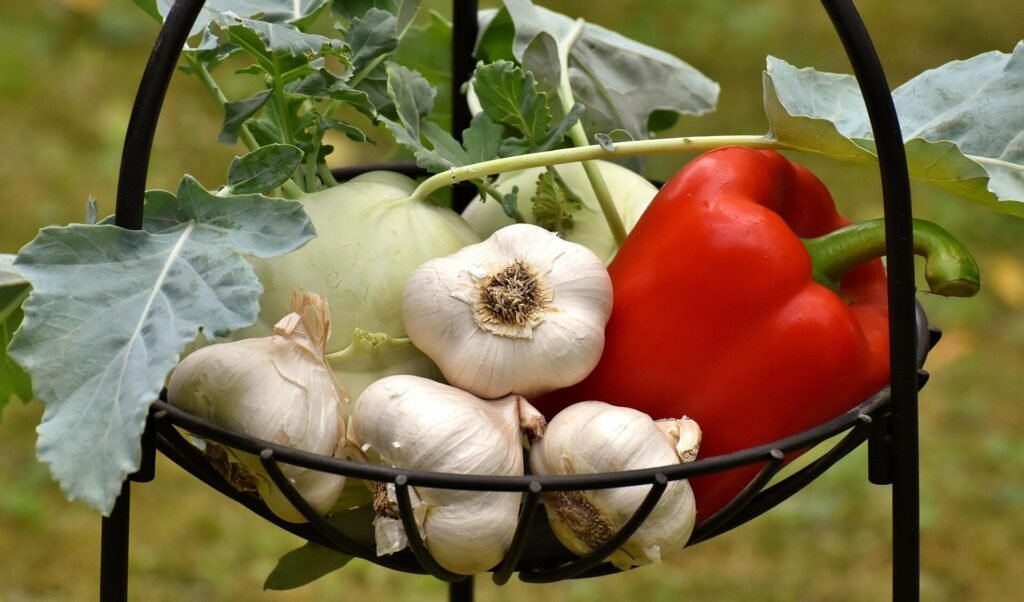 Food processing level outweighs plant-based label for heart health benefits, study finds