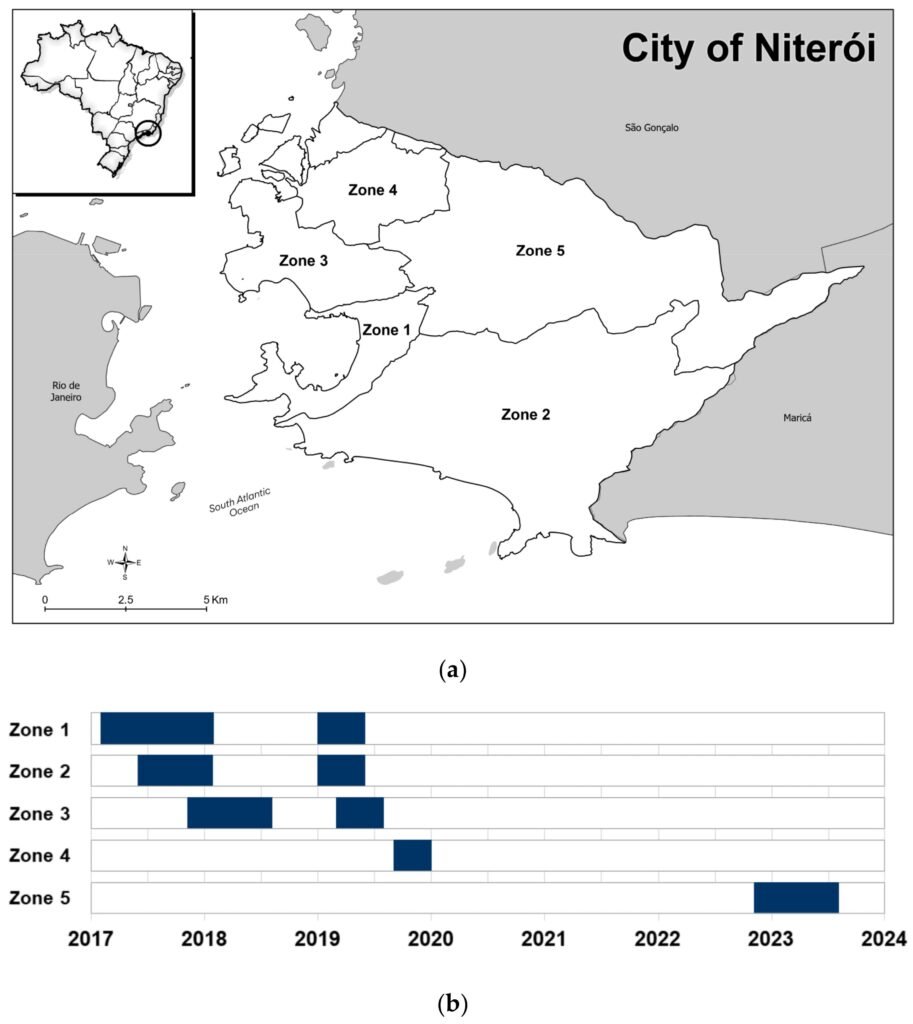 In the midst of a global dengue epidemic, one program kept a Brazilian city safe