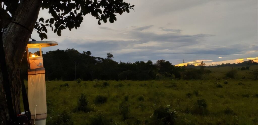 Malaria risk in the Amazon found to be higher in regions with intermediate forest degradation