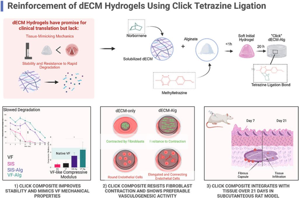 New injectable gel shows promise as voice loss treatment